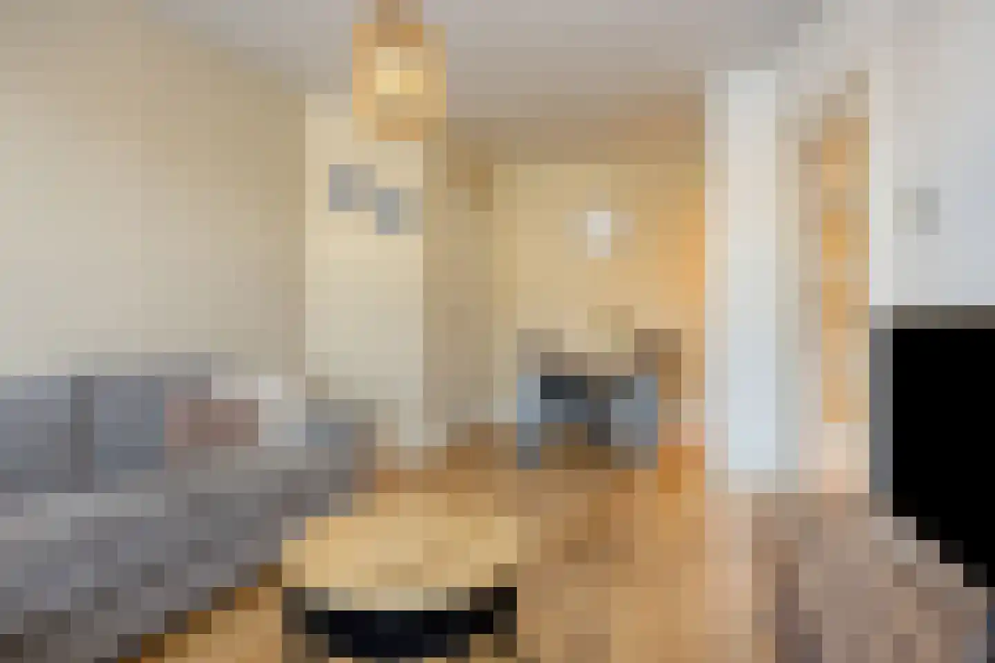 Veenendaalkade 256 Den Haag thumbnail 13