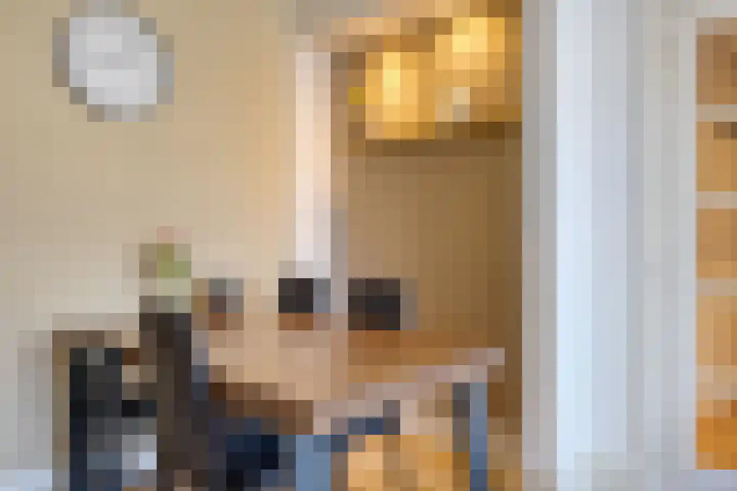 Veenendaalkade 256 Den Haag thumbnail 15
