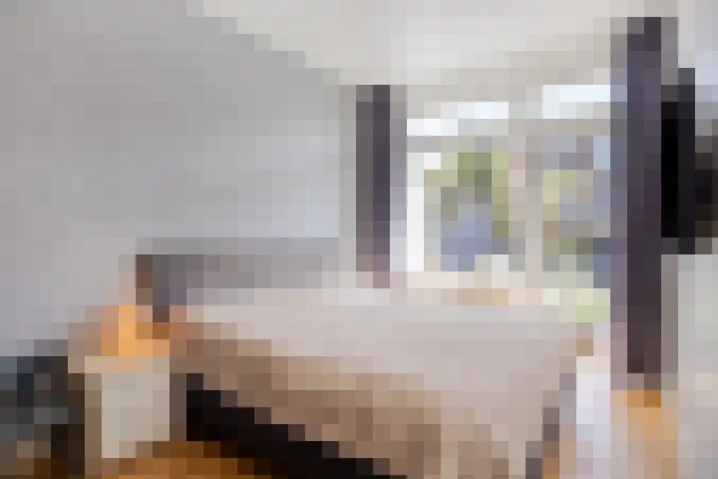 Veenendaalkade 256 Den Haag thumbnail 21