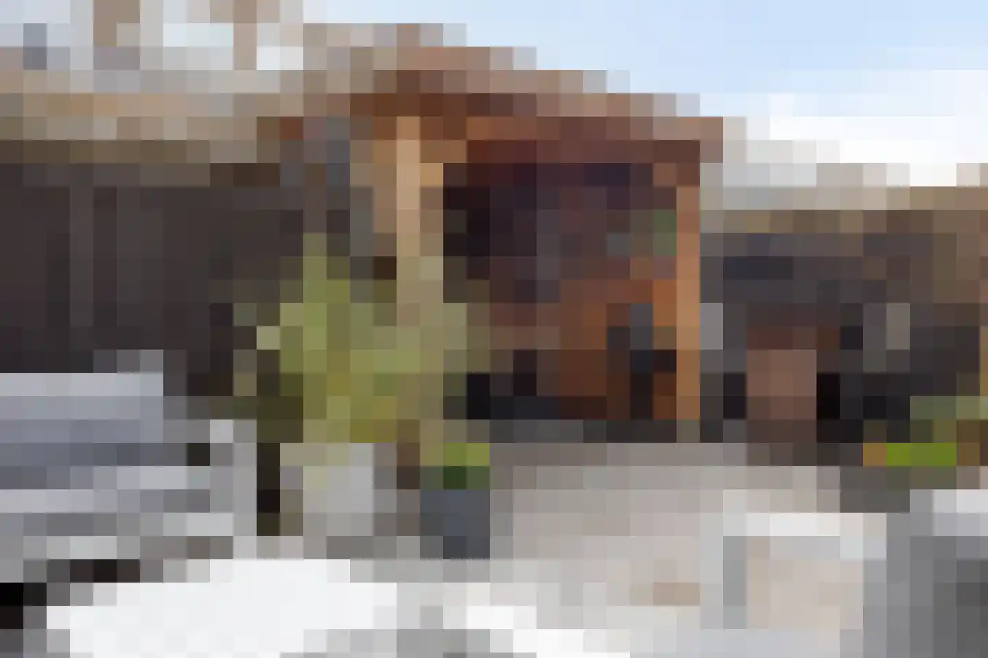 Veenendaalkade 256 Den Haag thumbnail 36