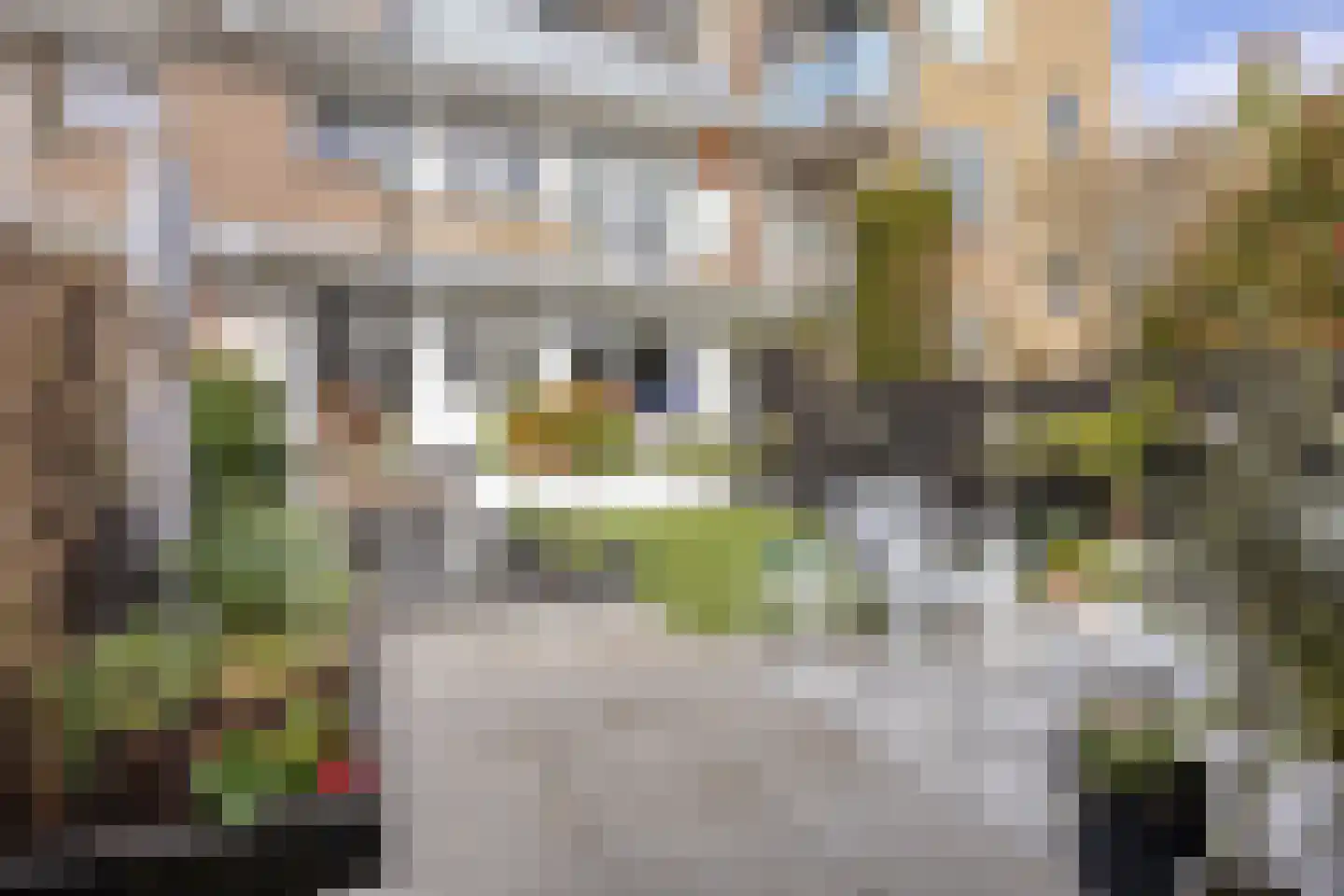 Veenendaalkade 256 Den Haag thumbnail 39