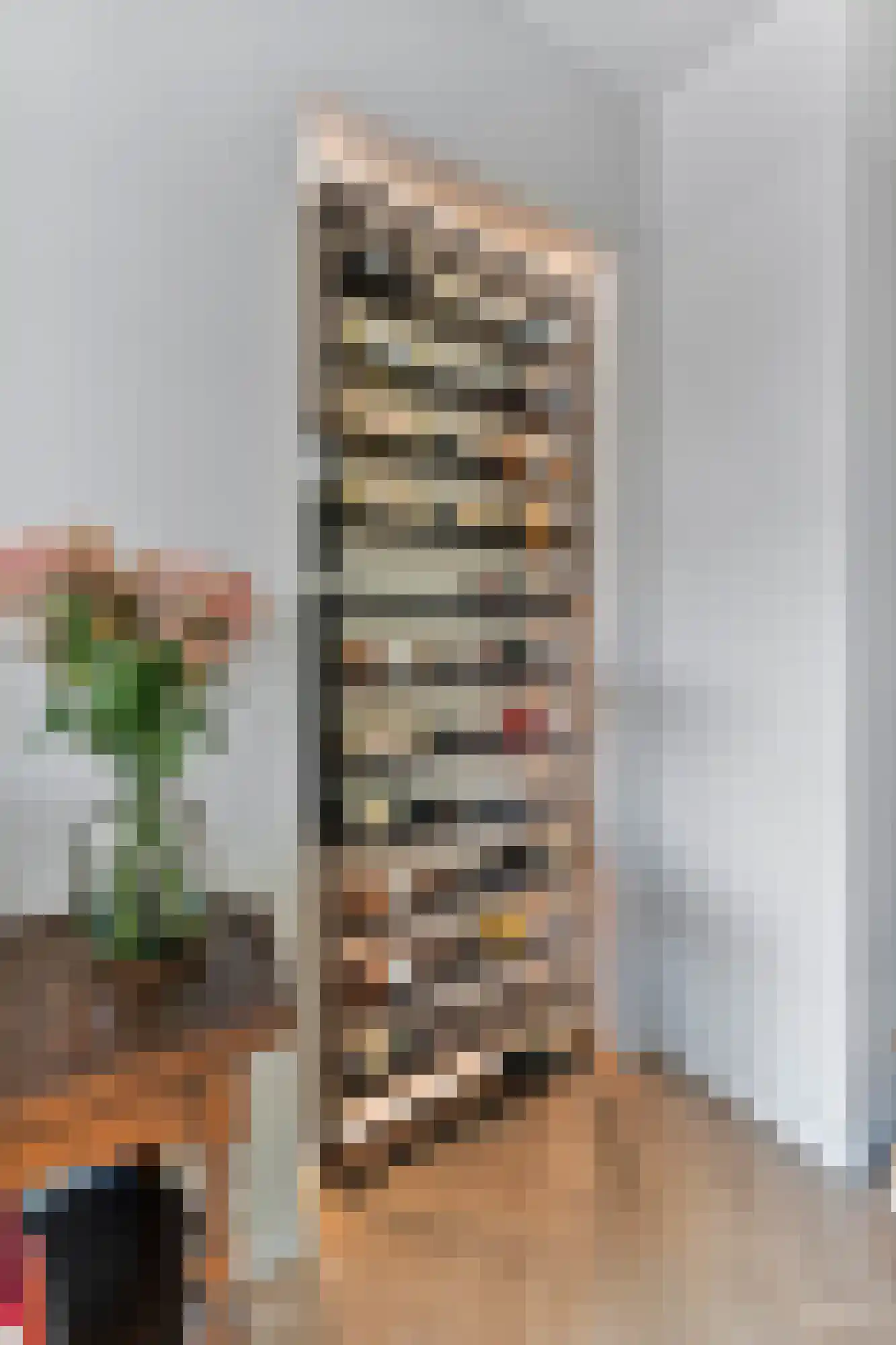 Veenendaalkade 320 Den Haag thumbnail 15