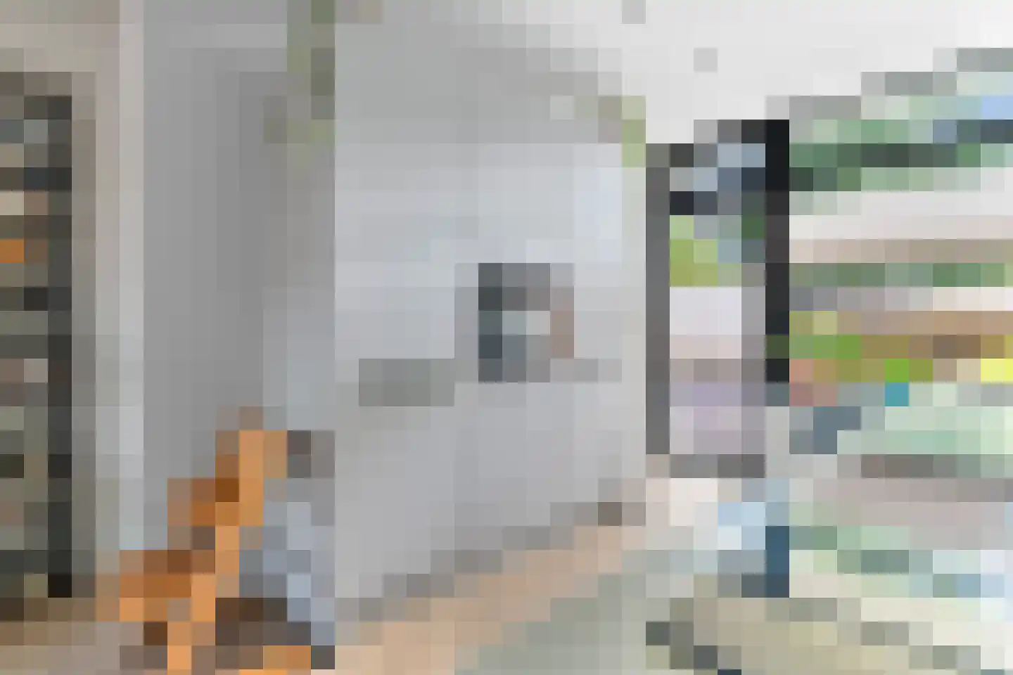 Veenendaalkade 320 Den Haag thumbnail 21