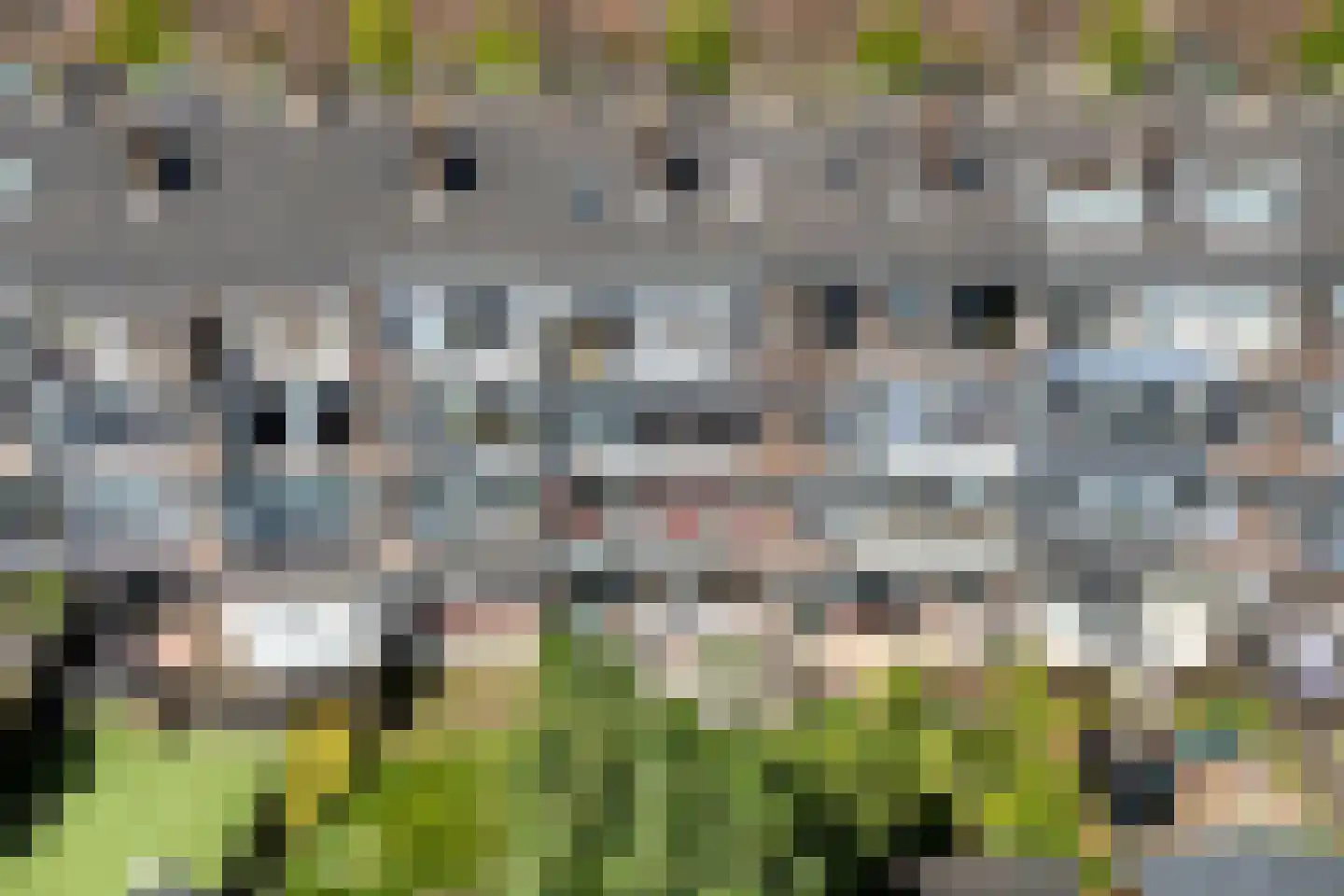 Veenendaalkade 320 Den Haag thumbnail 53