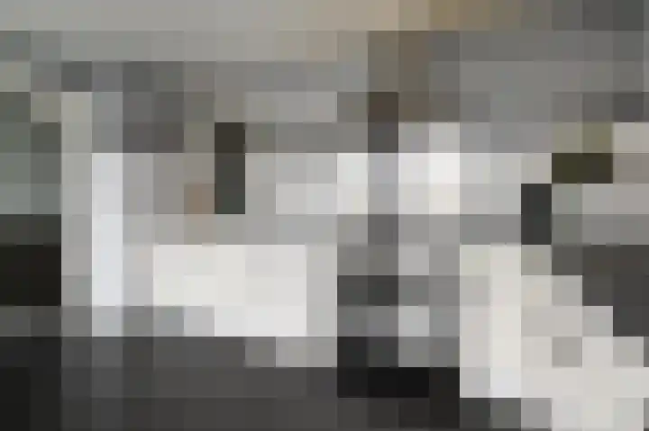 Veenendaalkade 326 Den Haag thumbnail 15