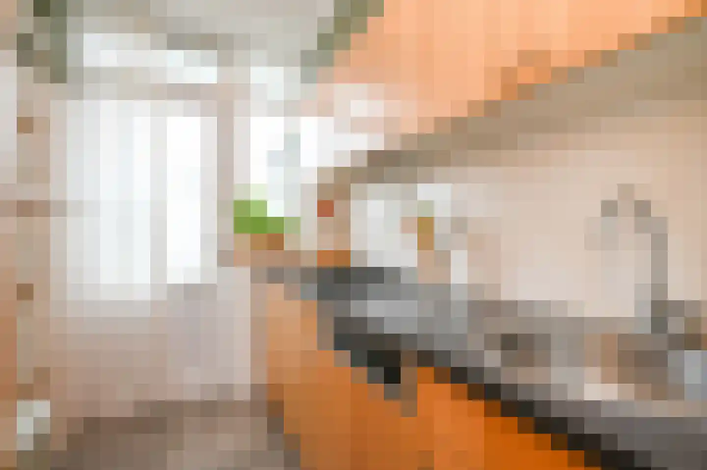 Veenendaalkade 330 Den Haag thumbnail 4