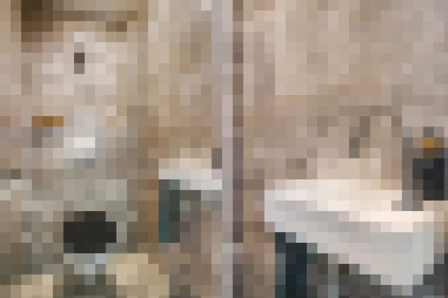 Veenendaalkade 364 Den Haag thumbnail 11