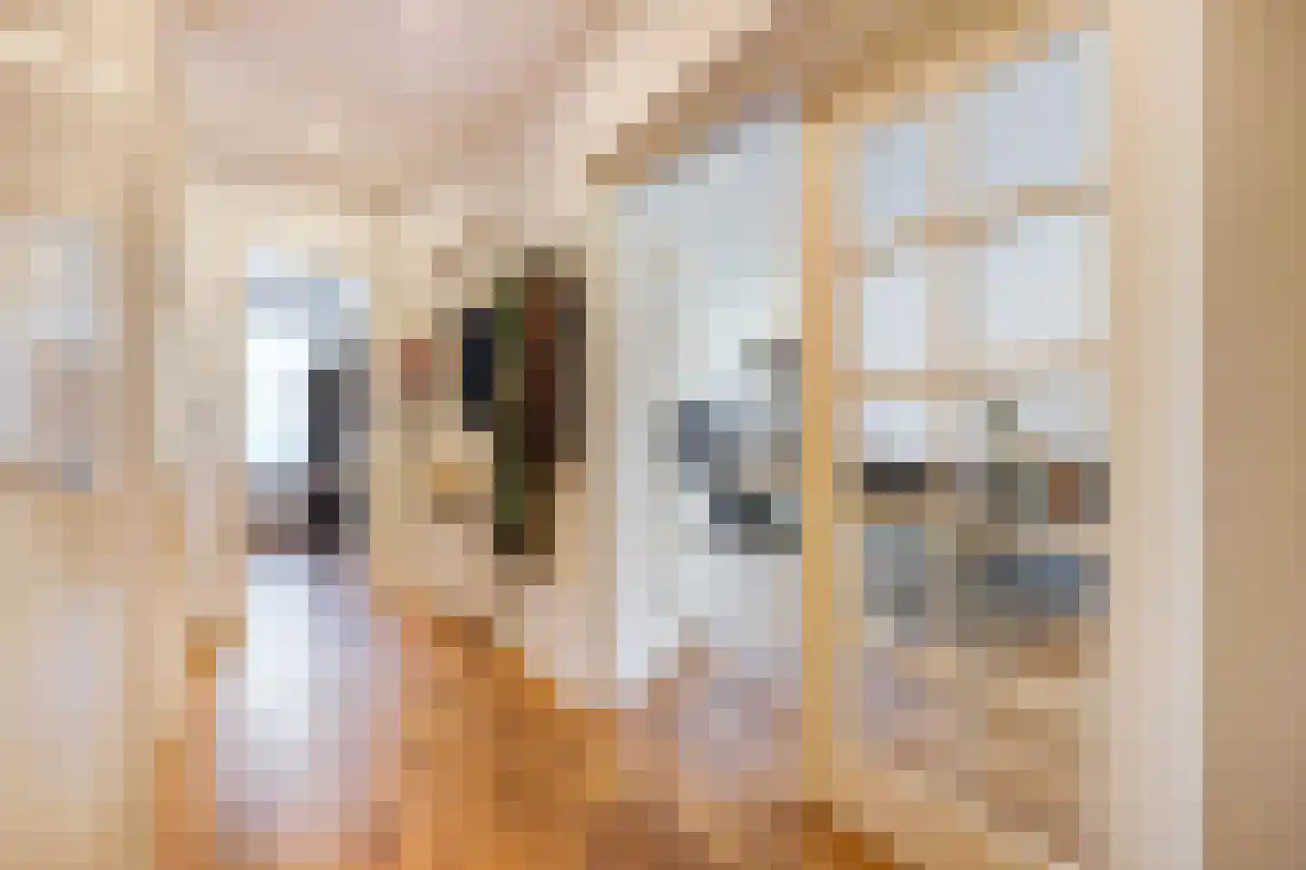 Veenendaalkade 364 Den Haag thumbnail 12