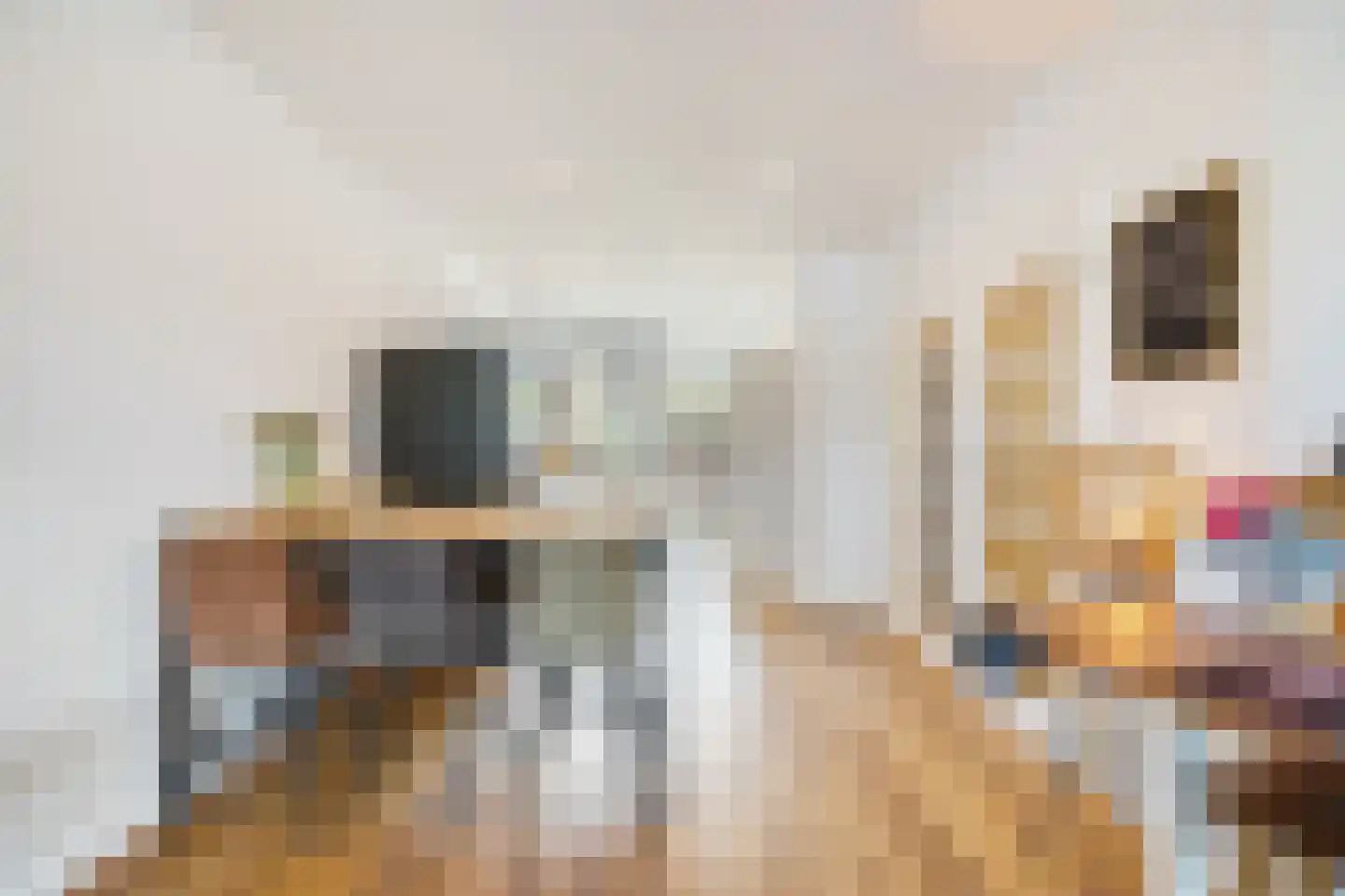 Veenendaalkade 364 Den Haag thumbnail 16
