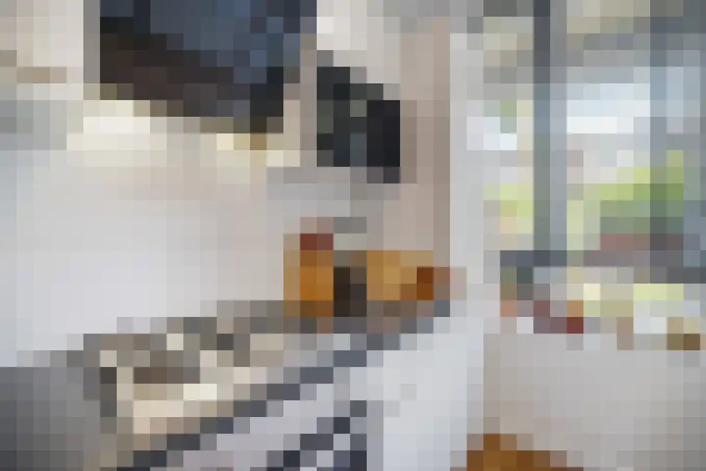 Veenendaalkade 364 Den Haag thumbnail 17