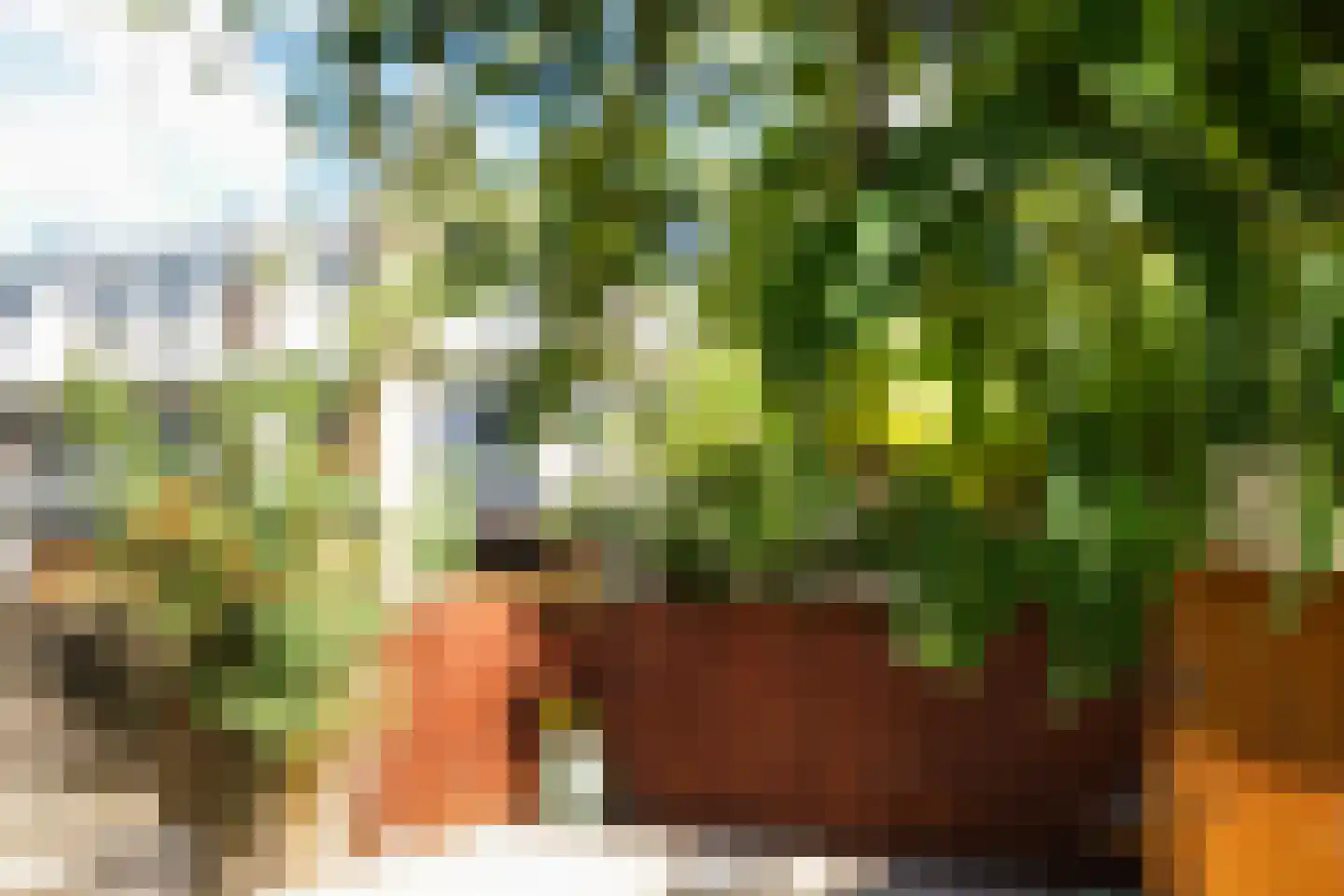 Veenendaalkade 364 Den Haag thumbnail 22