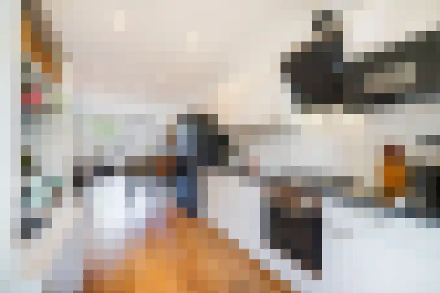 Veenendaalkade 364 Den Haag thumbnail 25