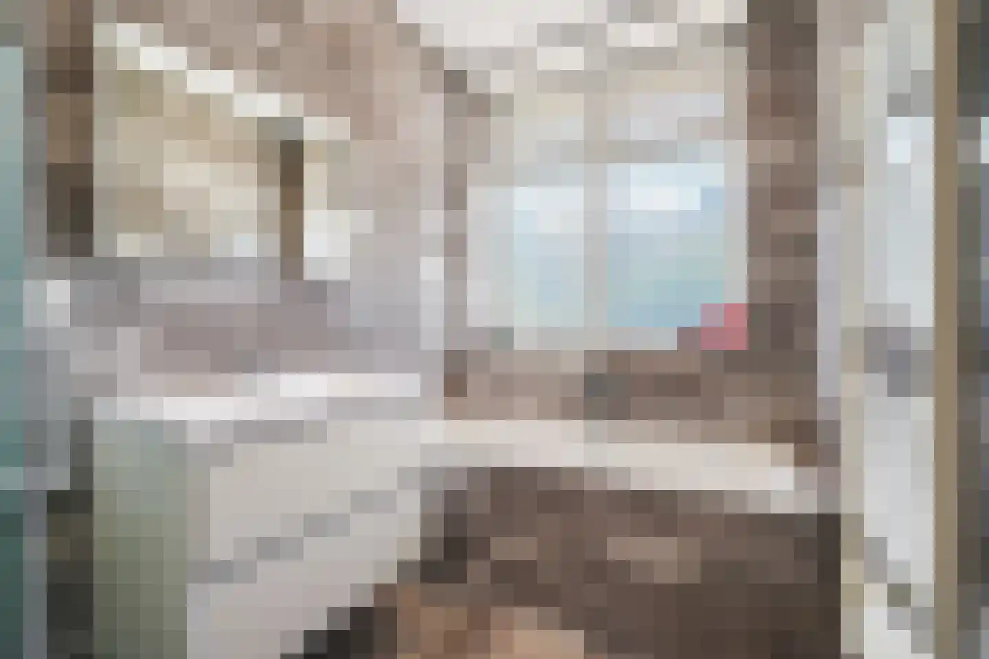 Veenendaalkade 364 Den Haag thumbnail 30