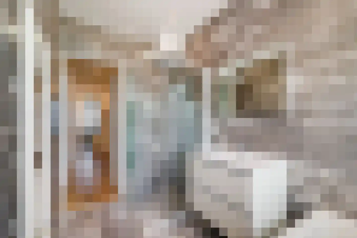 Veenendaalkade 364 Den Haag thumbnail 32