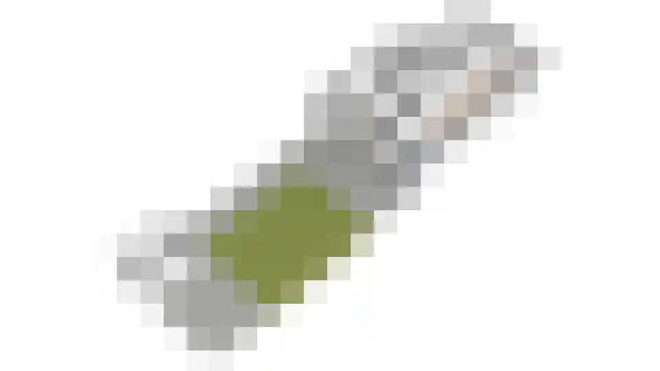 Veenendaalkade 364 Den Haag thumbnail 38