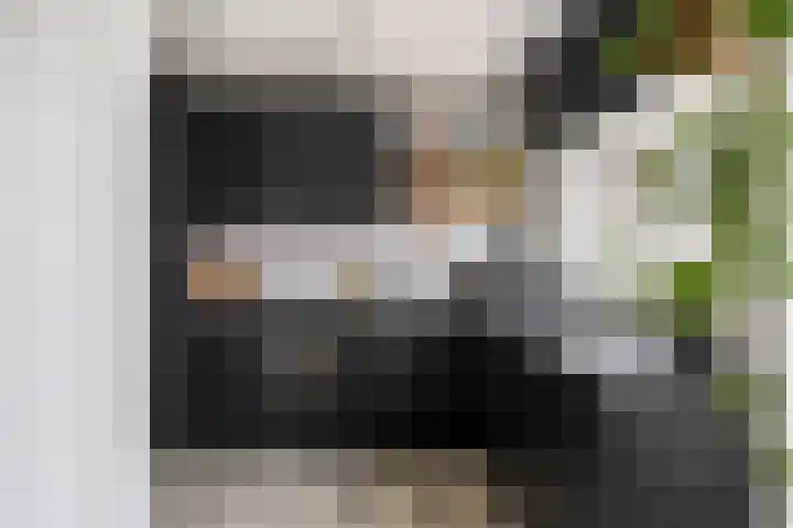 Veenendaalkade 38 Den Haag thumbnail 11
