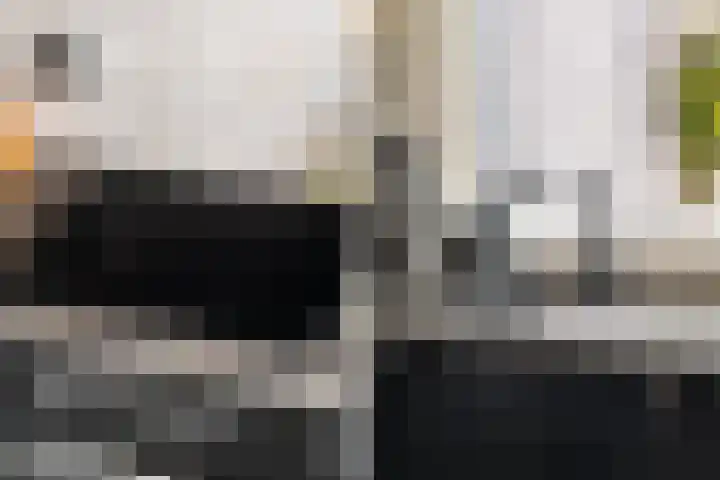 Veenendaalkade 38 Den Haag thumbnail 12