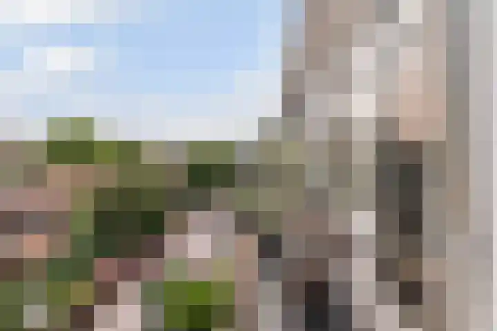 Veenendaalkade 38 Den Haag thumbnail 23