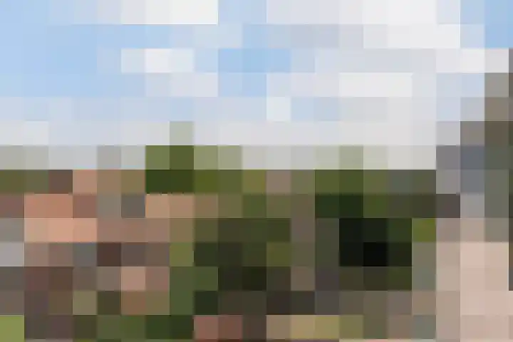 Veenendaalkade 38 Den Haag thumbnail 25