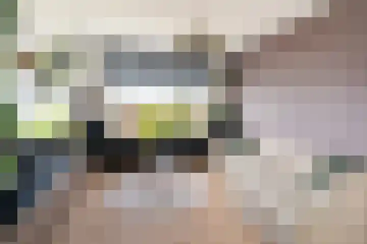 Veenendaalkade 38 Den Haag thumbnail 4