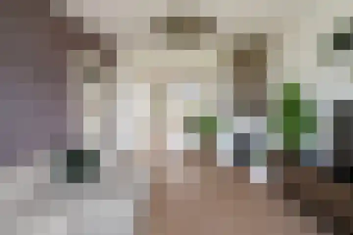 Veenendaalkade 38 Den Haag thumbnail 5