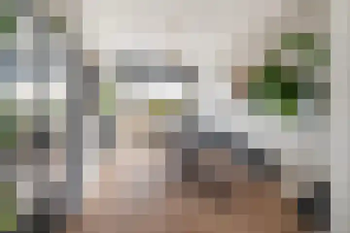 Veenendaalkade 38 Den Haag thumbnail 6