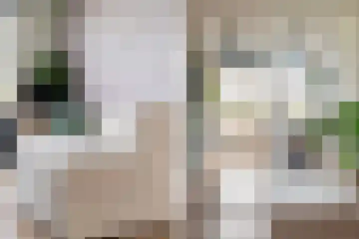 Veenendaalkade 38 Den Haag thumbnail 8