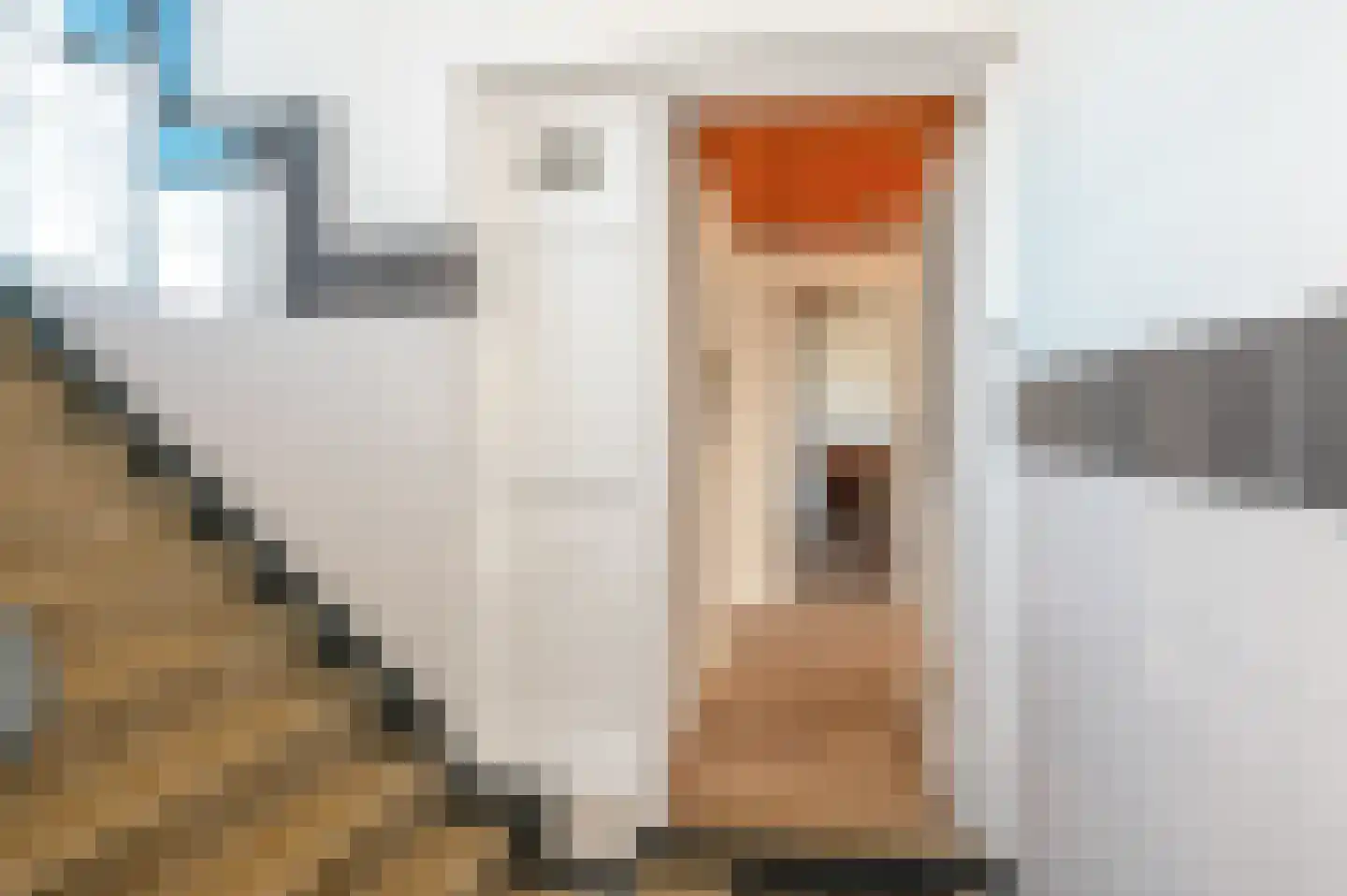 Veenendaalkade 404 Den Haag thumbnail 4