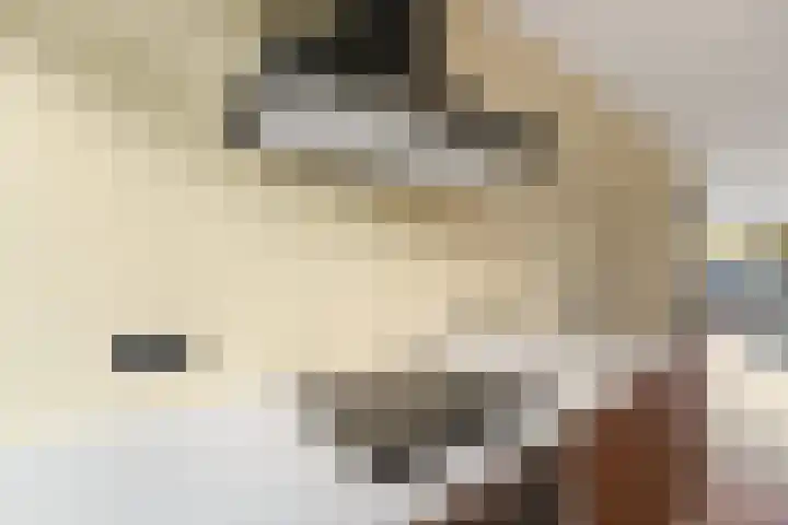 Veenendaalkade 405 Den Haag thumbnail 11