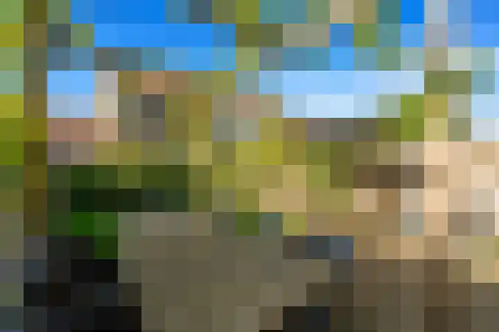 Veenendaalkade 405 Den Haag thumbnail 13