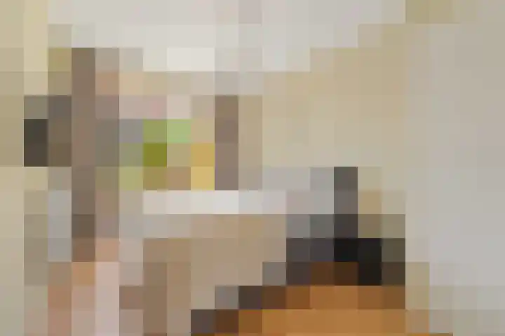 Veenendaalkade 405 Den Haag thumbnail 14