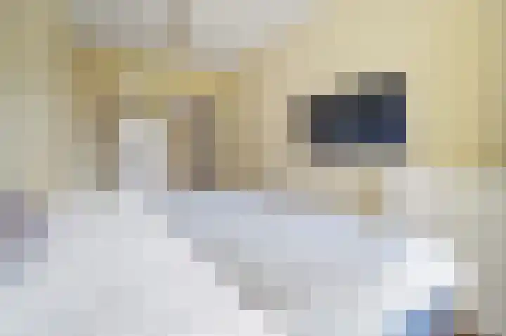 Veenendaalkade 405 Den Haag thumbnail 15