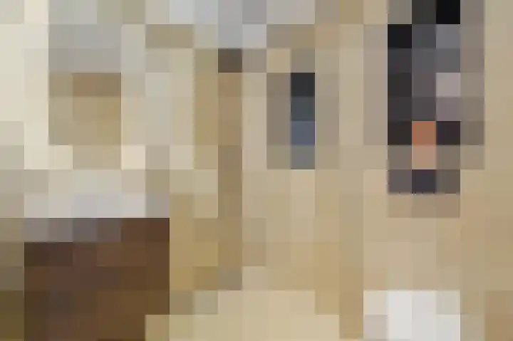 Veenendaalkade 405 Den Haag thumbnail 21