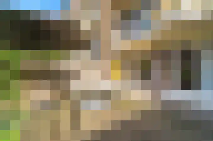 Veenendaalkade 405 Den Haag thumbnail 23