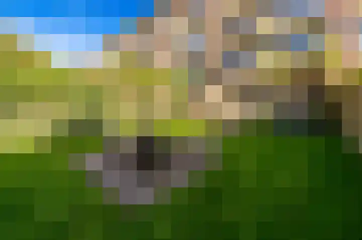 Veenendaalkade 405 Den Haag thumbnail 25