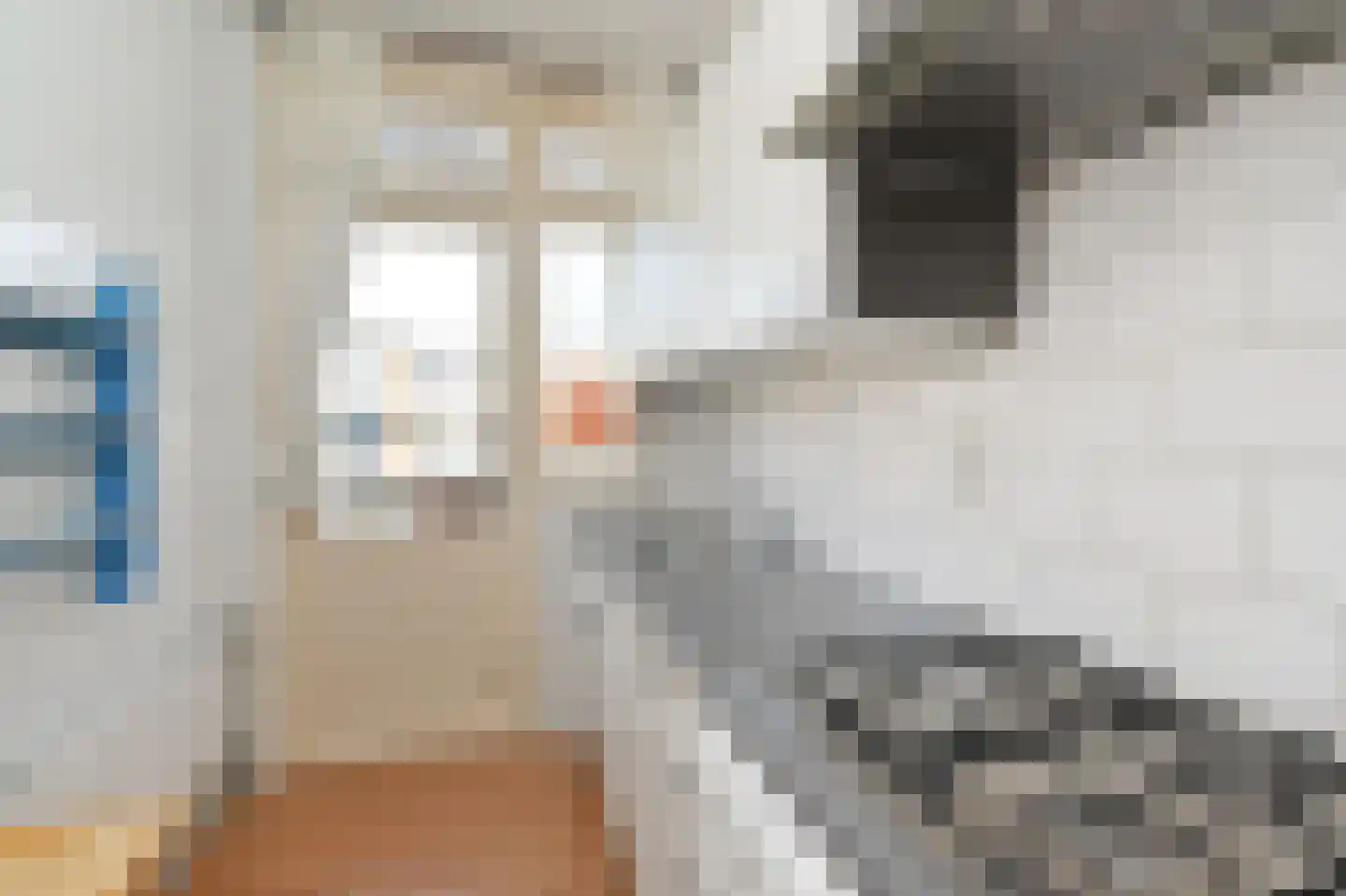 Veenendaalkade 438 Den Haag thumbnail 9