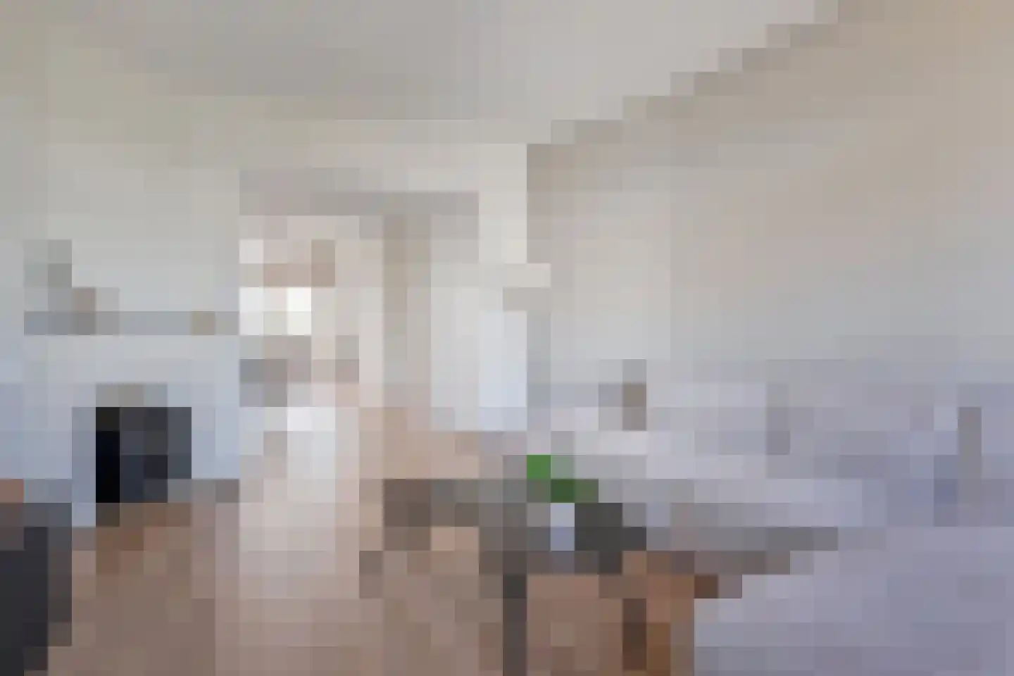 Veenendaalkade 46 Den Haag thumbnail 19