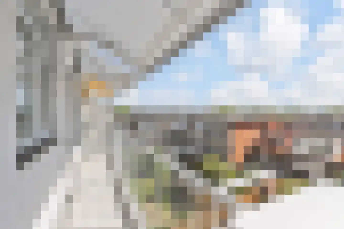 Veenendaalkade 46 Den Haag thumbnail 26