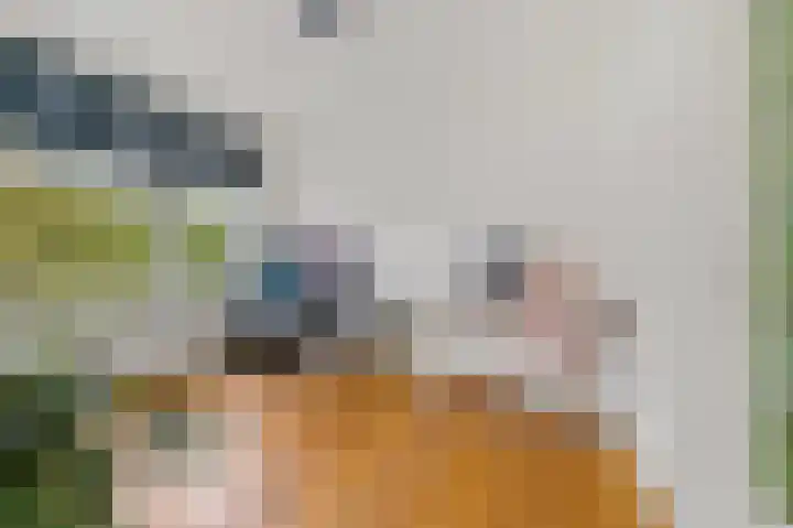 Veenendaalkade 474 Den Haag thumbnail 12