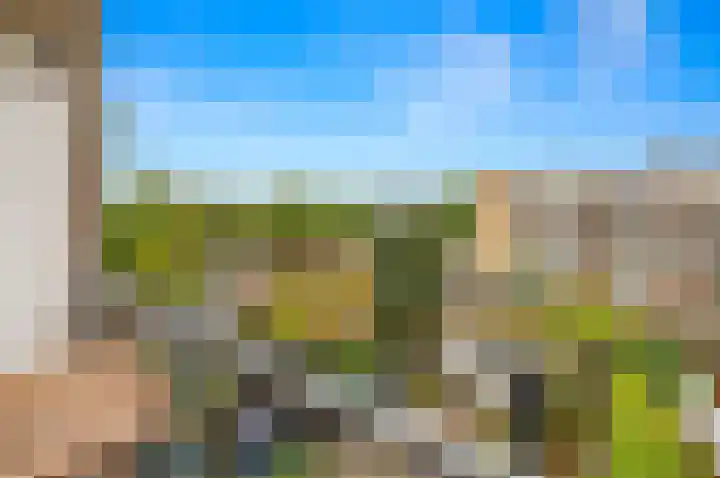 Veenendaalkade 474 Den Haag thumbnail 16