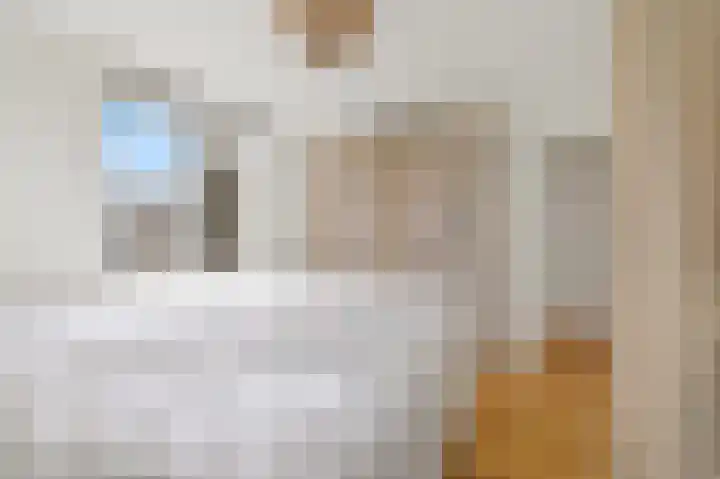 Veenendaalkade 474 Den Haag thumbnail 23