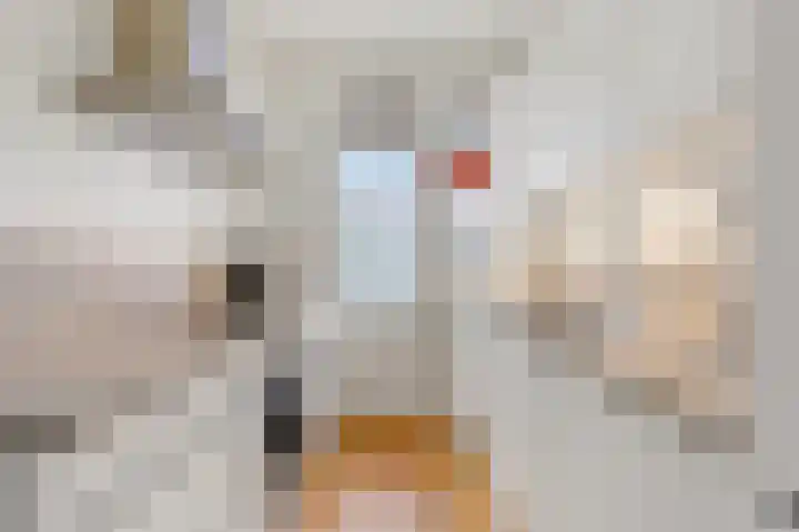 Veenendaalkade 474 Den Haag thumbnail 4