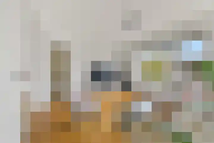Veenendaalkade 474 Den Haag thumbnail 9