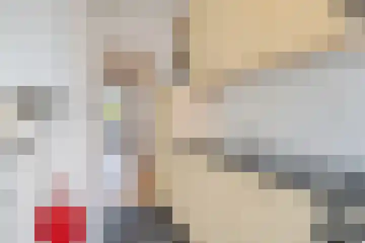 Veenendaalkade 486 Den Haag thumbnail 26