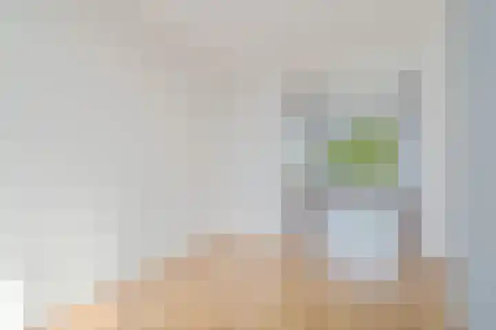 Veenendaalkade 486 Den Haag thumbnail 4