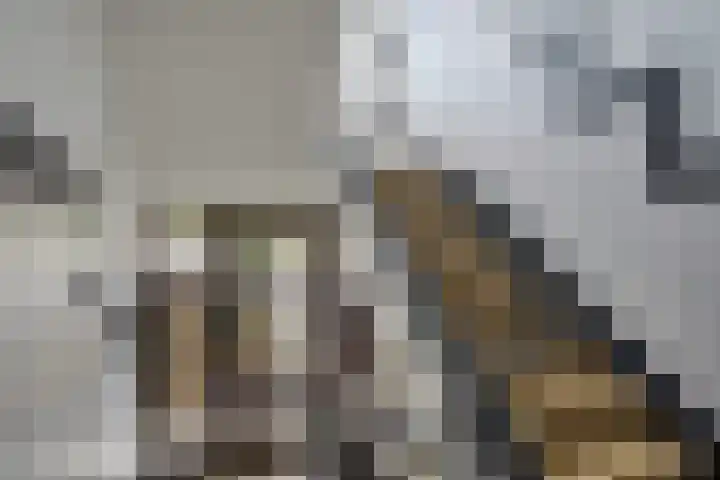 Veenendaalkade 486 Den Haag thumbnail 8