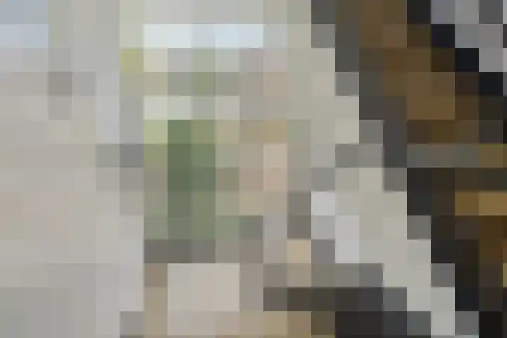 Veenendaalkade 486 Den Haag thumbnail 9