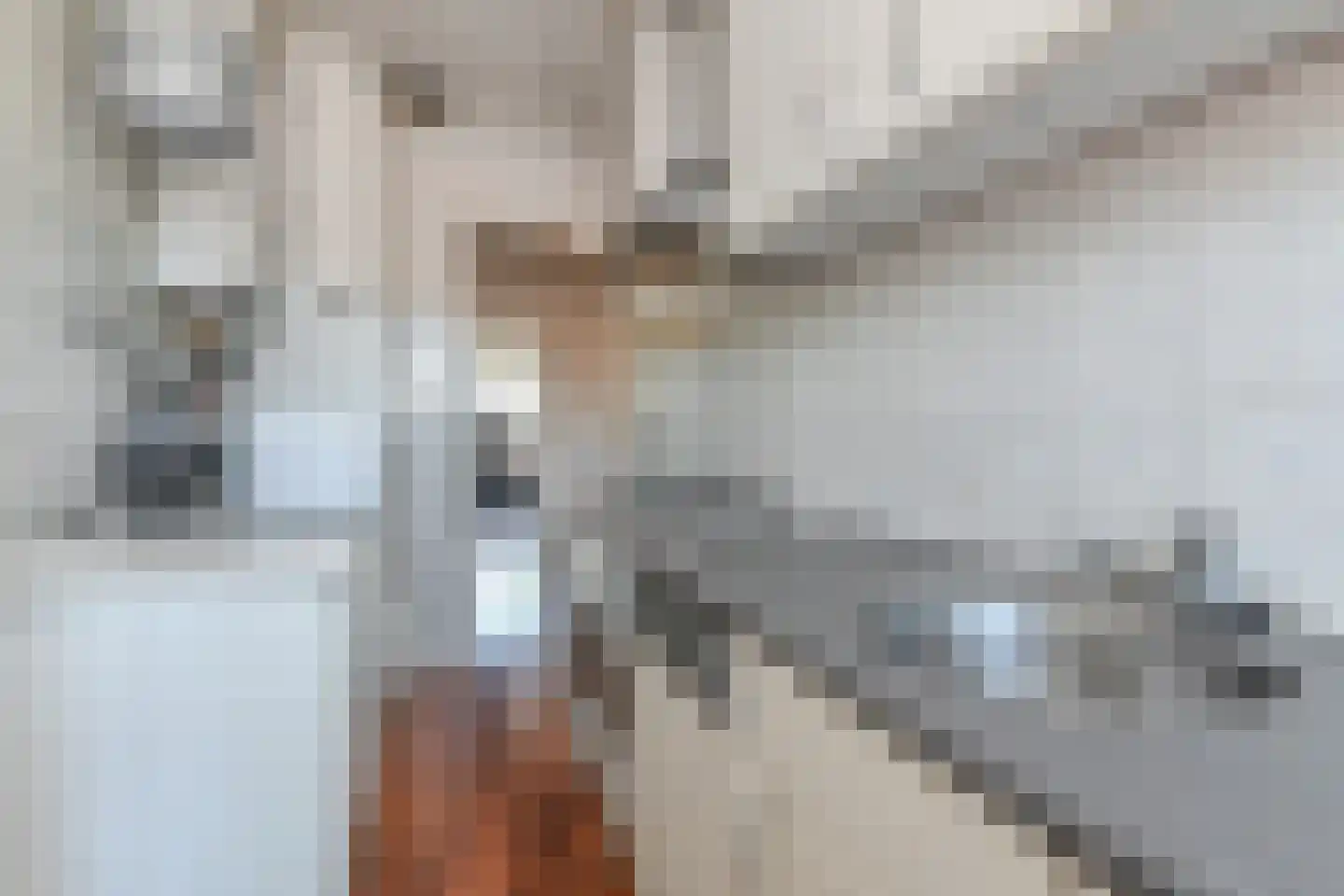 Veenendaalkade 491 Den Haag thumbnail 13