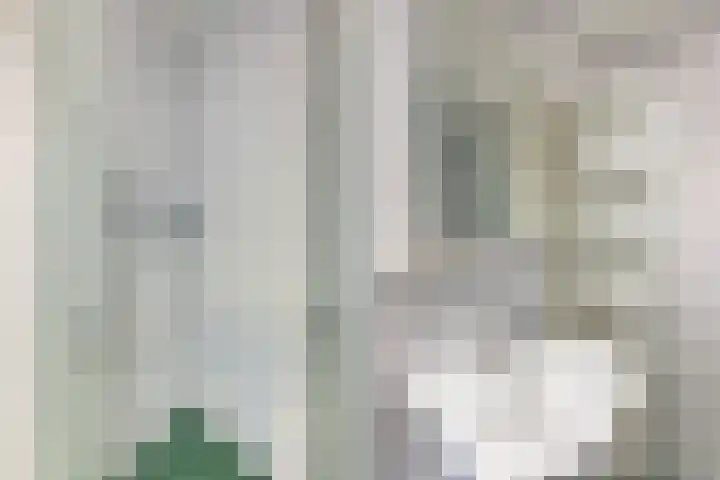 Veenendaalkade 495 Den Haag thumbnail 27