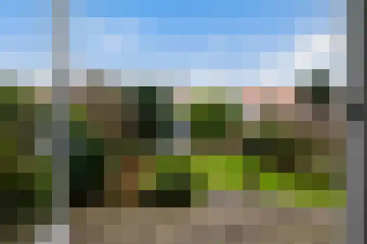 Veenendaalkade 495 Den Haag thumbnail 28